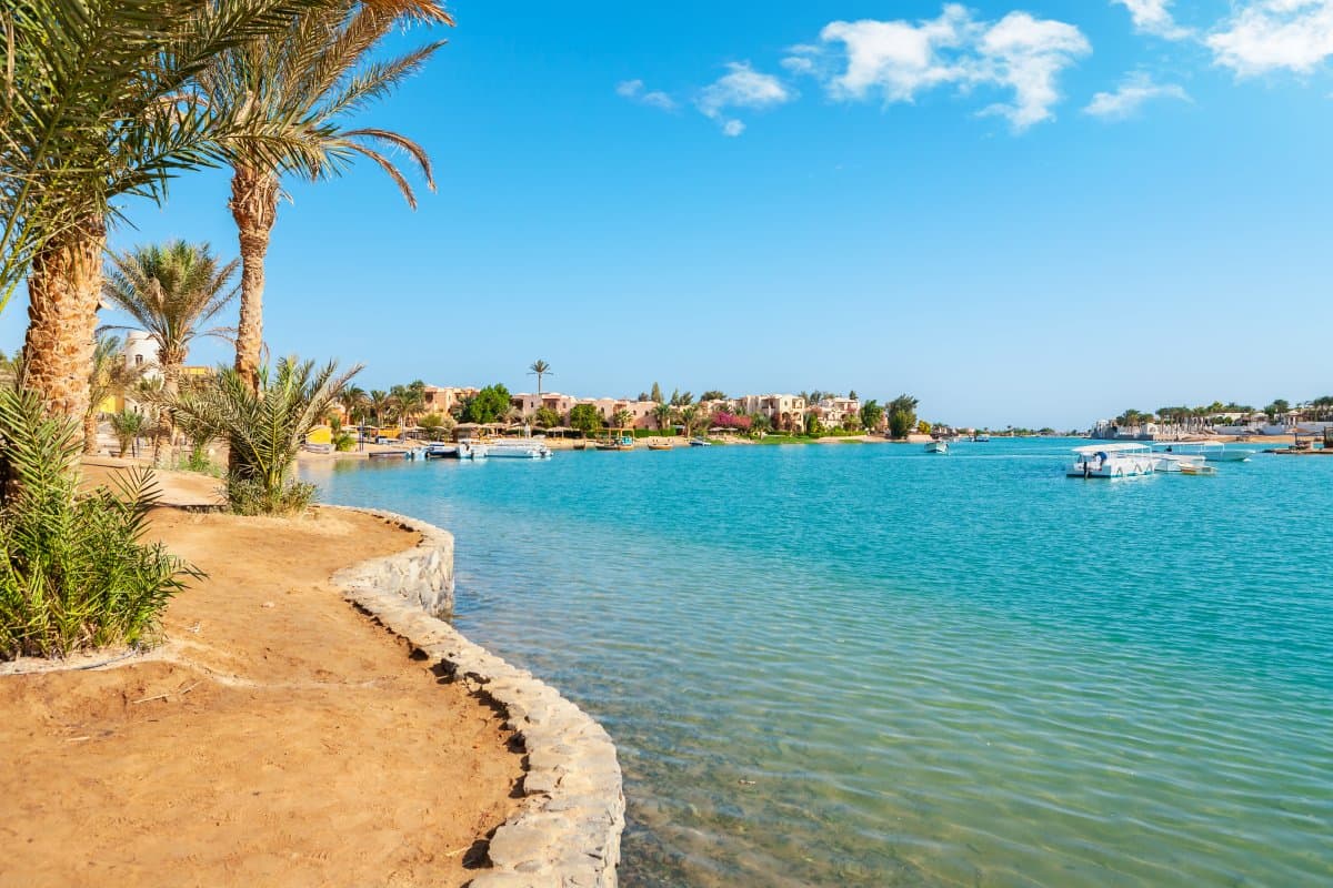 DEXON Roma Hotel 3* (All Inclusive)